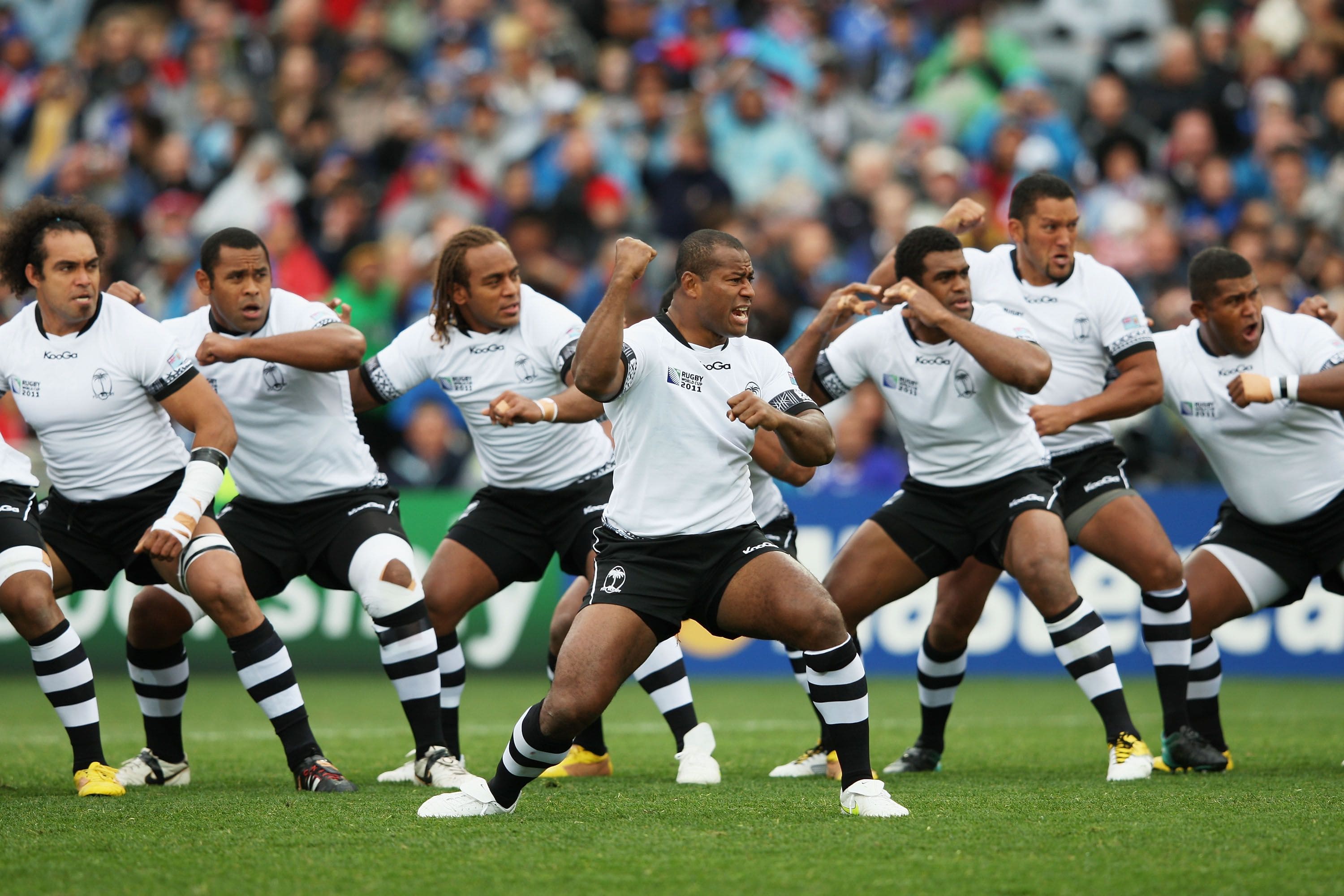 los springboks en ronda